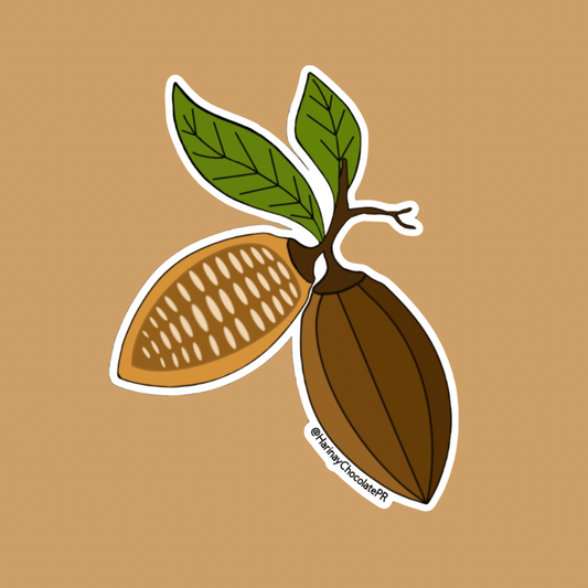 Cacao Fruit Sticker